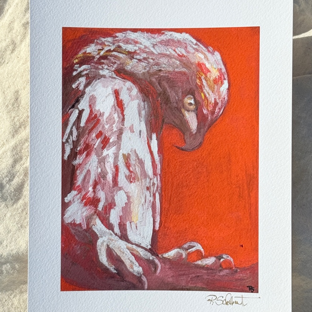 The Hunt Fine Art Print - Red Hawk Signed Artwork